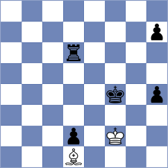 Berezin - Zierk (chess.com INT, 2023)