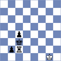 Nilsen - Petrovskyi (chess.com INT, 2022)