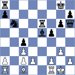 Novak - Enache (Linz, 2013)