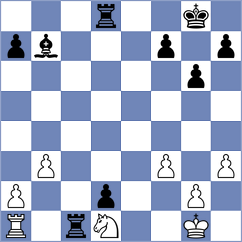 Rossi - Salminen (Mantta, 2011)