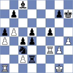 Baier - Sramek (Orlova, 2013)
