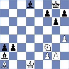 Stojiljkovic - Dimitrijevic (Nis, 2013)
