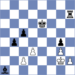 Brouwer - Spoelstra (Hengelo, 2004)