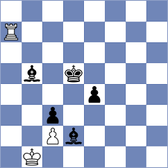 Plat - Vaibhav (Dulles USA, 2025)