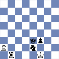 Nilsen - Sailer (chess.com INT, 2022)