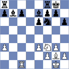 Hecimovic - Novak (Bjelovar, 2014)