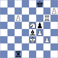 Vanicek - Sudolsky (Ostrava, 2007)