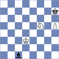 Antonini - Baez Ruiz (Las Palmas, 2012)