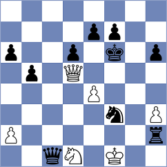 Buys - Ivekovic (Durban, 2014)