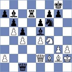 Stoppel - Ivanisevic (Warsaw, 2013)