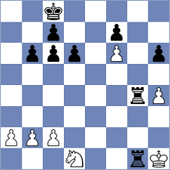 Novak - Skockova (Havirov, 2013)