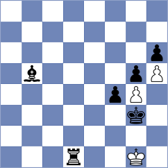 Herrmann - Kong Lim (Adelaide, 2013)