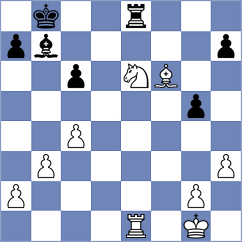 Novacek - Kriebel (Ostrava, 2014)