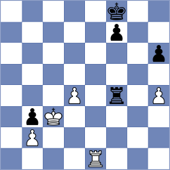 Carrillo Parra - Rodriguez (Medellin COL, 2024)