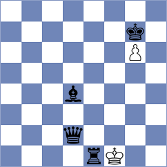 Shikman - Van der Drift (livechess.nl  INT, 2008)