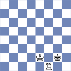 Skaric - Dubnevych (chess.com INT, 2024)