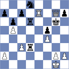Nikic - Zdravkovic (Nis, 2013)