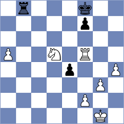 Coetzee - Lee (Kocaeli, 2011)