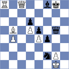 Blanco Ronquillo - Castro Torres (Caracas, 2013)