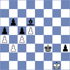 Adamek - Janku (Ostrava, 2003)