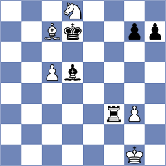 Brkic - Kovacic (Belgrade, 2013)