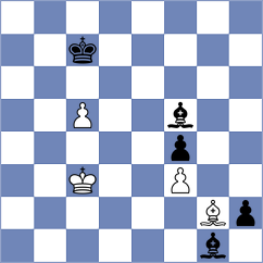 Zubov - Sitnikov (Novokuznetsk, 2010)