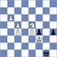 Steil Antoni - Zilleruelo Irizarry (Chennai IND, 2022)