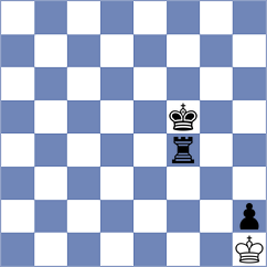 Arakelyan - Vogel (chess.com INT, 2024)
