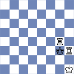 Kammer - Avdic (Goetzis, 1995)