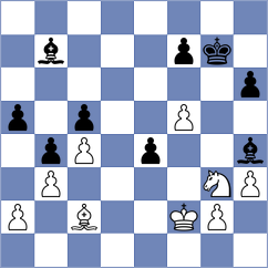 Vesely - Strnad (Klatovy, 2013)