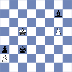 Zdravkovic - Stevic (Nis, 2012)