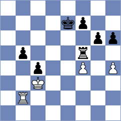 Field - Guid (Florianopolis BRA, 2024)