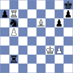 Goktepe - Bonin (New York USA, 2024)