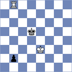 Zhizmer - Hoffmann (chess.com INT, 2024)