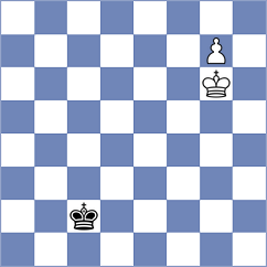 Brunke - Schaefer (Playchess.com INT, 2020)
