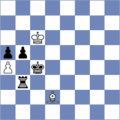 Zivkovic - Krstic (Nis, 2013)