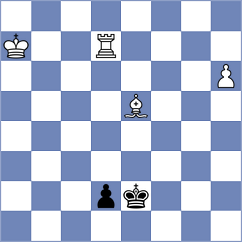 Hildebrandt - Schalk (Playchess.com INT, 2004)