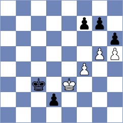 Nikic - Mitrovic (Nis, 2013)