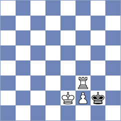 Nguyen - Paikens (chess.com INT, 2024)