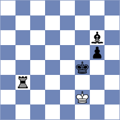 Beerdsen - Piorun (chess.com INT, 2024)
