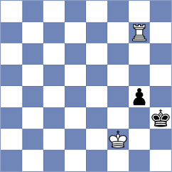 Medvedev - Shevelev (Lipetsk, 2008)