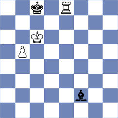 Rakitin - Budrewicz (chess.com INT, 2024)