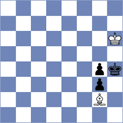 Huber - Wohlmuth (Schoeneck, 1996)