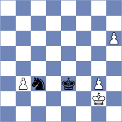 Stojanovic - Novakovic (Srebrno Jezero, 2013)