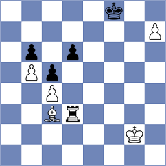 Baltic - Wemmers (Netherlands NED, 2024)