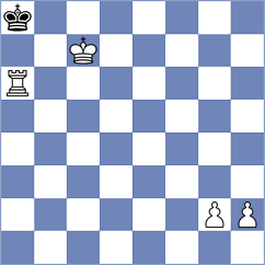 Zeman - Sigut (Havirov, 2008)