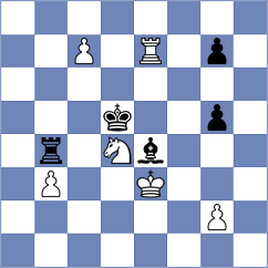 Dubov - Meier (chess.com INT, 2023)