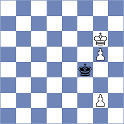 Bykovskiy - Ahmatovic (Melbourne AUS, 2021)