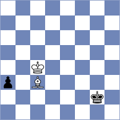 Schankin - Sokolov (Uljanovsk, 2013)