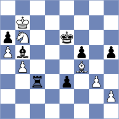 Jacobson - Budisavljevic (Charlotte USA, 2024)